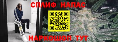 PSILOCYBIN Чебоксары